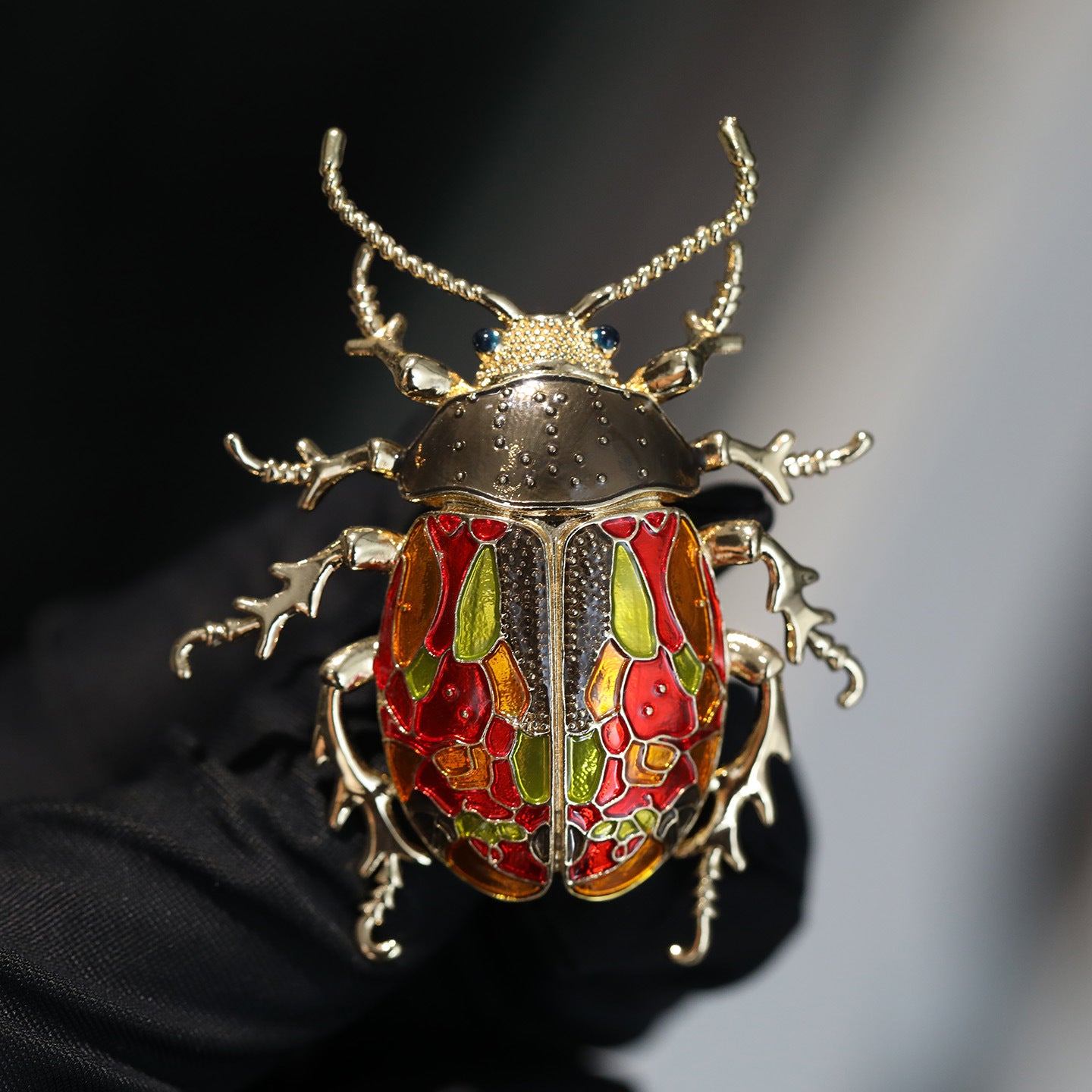 Colorful Beetle